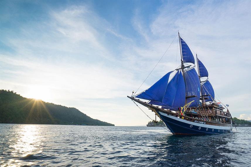 sea-safari-vi-phinisi-feature-image