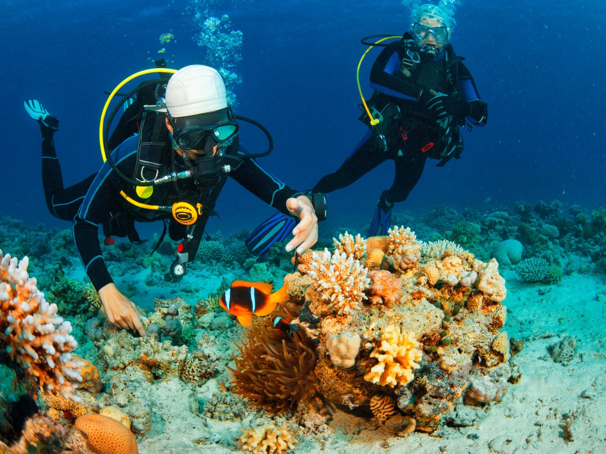 Scuba divers exploring the colorful coral reef and marine life around Siaba Besar Island, one of the best diving spots in Komodo National Park, Indonesia.